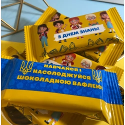 Шоколадні вафлі на 1 вересня (день знань)